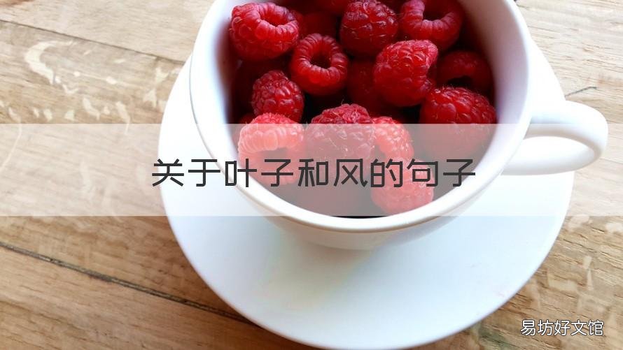 关于叶子和风的句子 关于叶子和风的句子摘抄