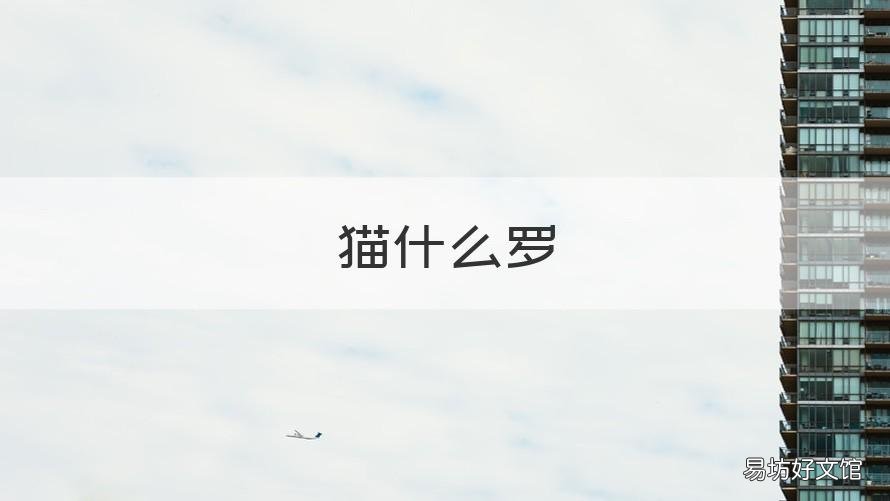 猫什么罗 猫叫什么罗猫