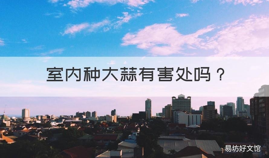 室内种大蒜有害处吗 室内种大蒜有害处吗为什么