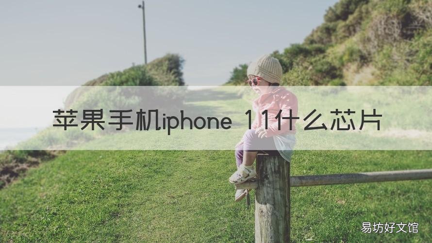苹果手机iphone 11什么芯片 IPhone11是什么芯片