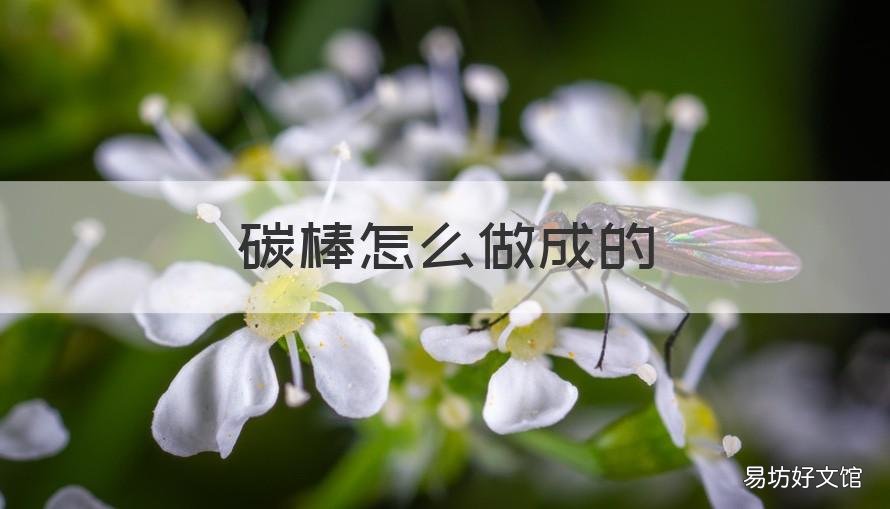 碳棒怎么做成的 碳棒是用什么做的