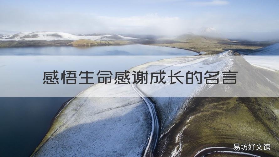感悟生命感谢成长的名言 关于感恩成长的名言