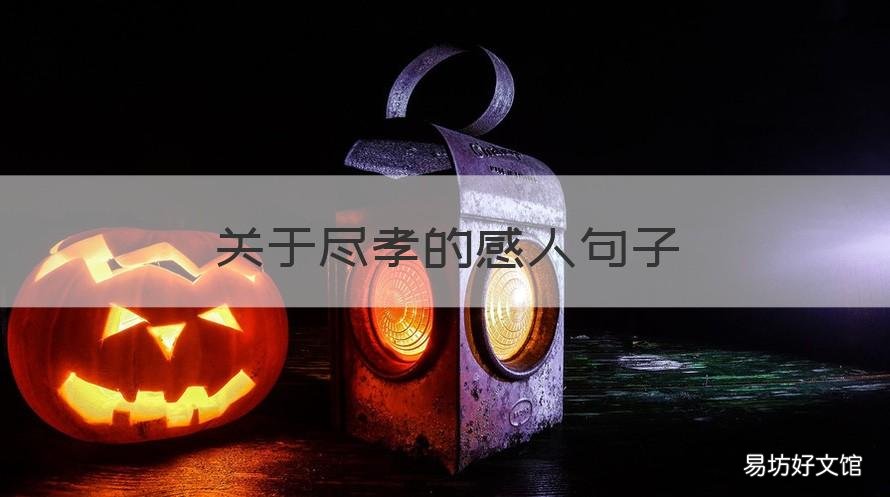 关于尽孝的感人句子 关于尽孝的感人句子 尽孝要趁早的名言警句