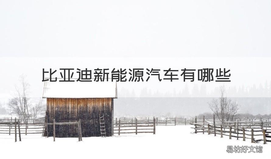 比亚迪新能源汽车有哪些 比亚迪新能源汽车有哪些项目存在问题的分析