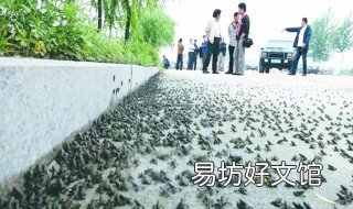 地震前兆现象有哪些 常见的地震前兆现象