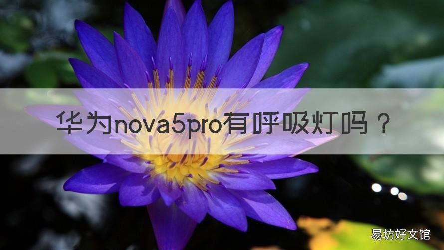 华为nova5pro有呼吸灯吗 华为nova有没有呼吸灯