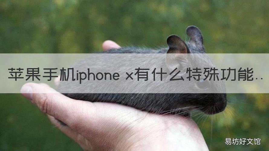 苹果手机iphone x有什么特殊功能 iphonex特殊功能介绍