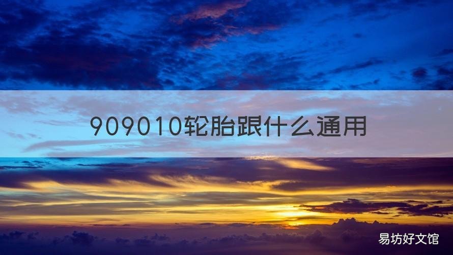 909010轮胎跟什么通用 909010的轮胎与什么型号通用