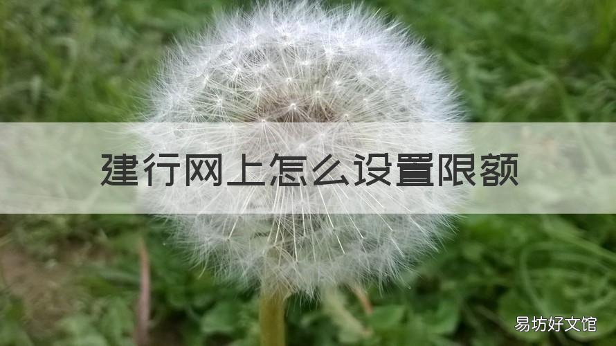 建行网上怎么设置限额 建设银行如何设置限额