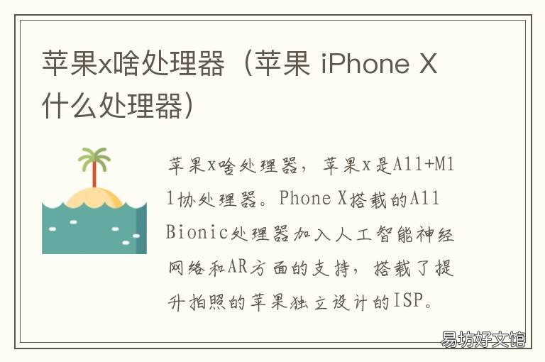 苹果x啥处理器(苹果 苹果 iphone x是什么处理器