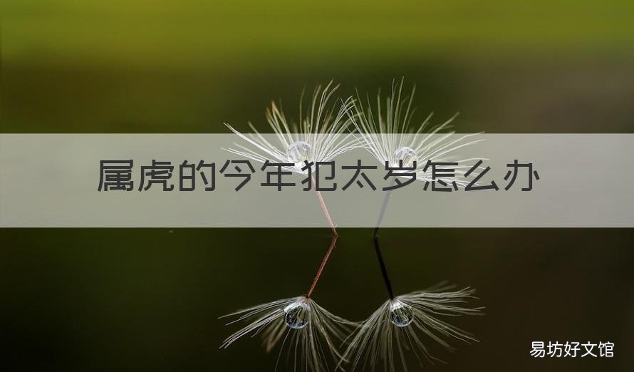 属虎的今年犯太岁怎么办 属虎的人今年犯太岁吗?
