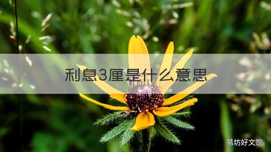利息3厘是什么意思 年利息3厘是什么意思