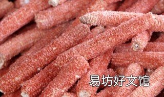 玉米芯可以提炼什么 玉米芯可以提炼什么油