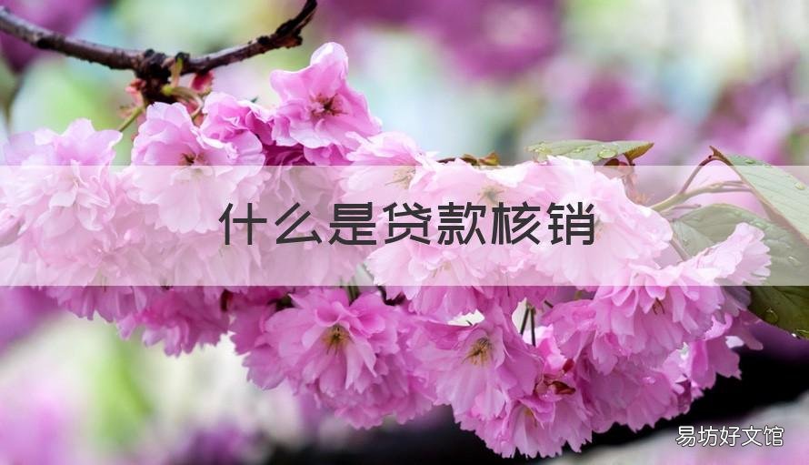 什么是贷款核销 什么是贷款核销业务