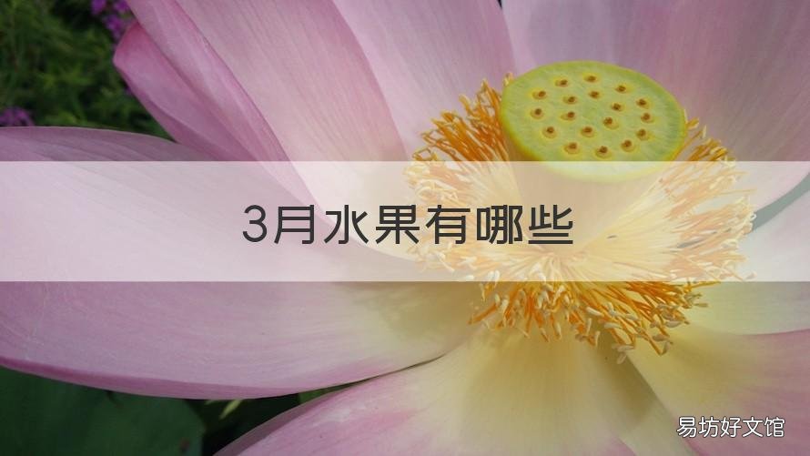 3月水果有哪些 3月当季水果有哪些水果