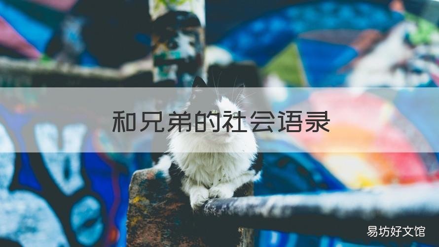 和兄弟的社会语录 社会兄弟语录经典说说
