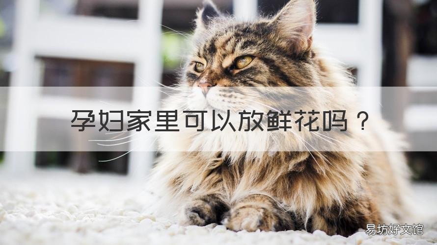 孕妇家里可以放鲜花吗 孕早期家里可以放鲜花吗