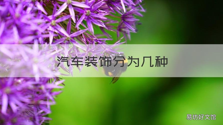 汽车装饰分为几种 汽车装饰分为几种类型