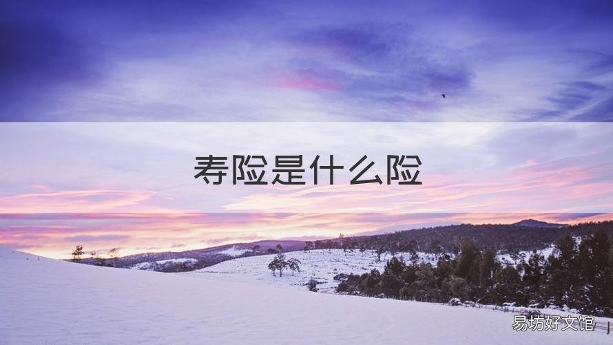 寿险是什么险 寿险包括什么险种