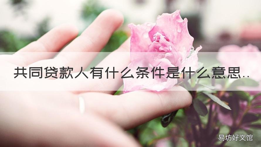 共同贷款人有什么条件是什么意思