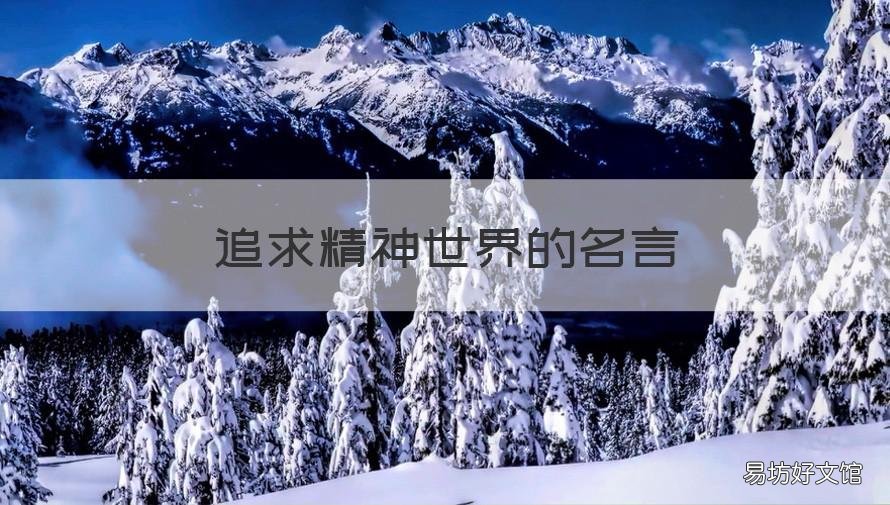 追求精神世界的名言 追求精神世界的名言有哪些