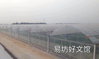 东北暖棚建造方法 东北房屋暖棚建造方法