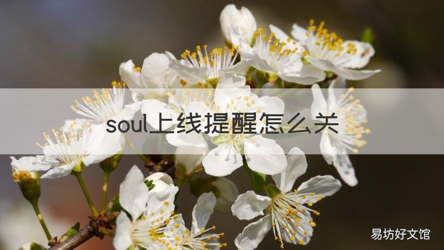 soul上线提醒怎么关 soul怎么取消上线提醒