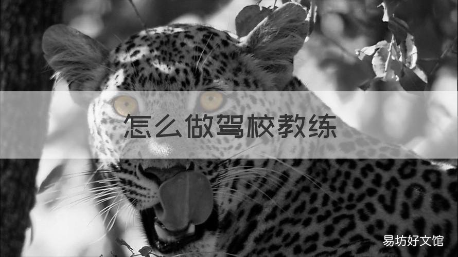 怎么做驾校教练 怎么做驾校教练资格证