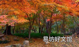 南京枫叶最美的地方 南京秋天枫叶的地方