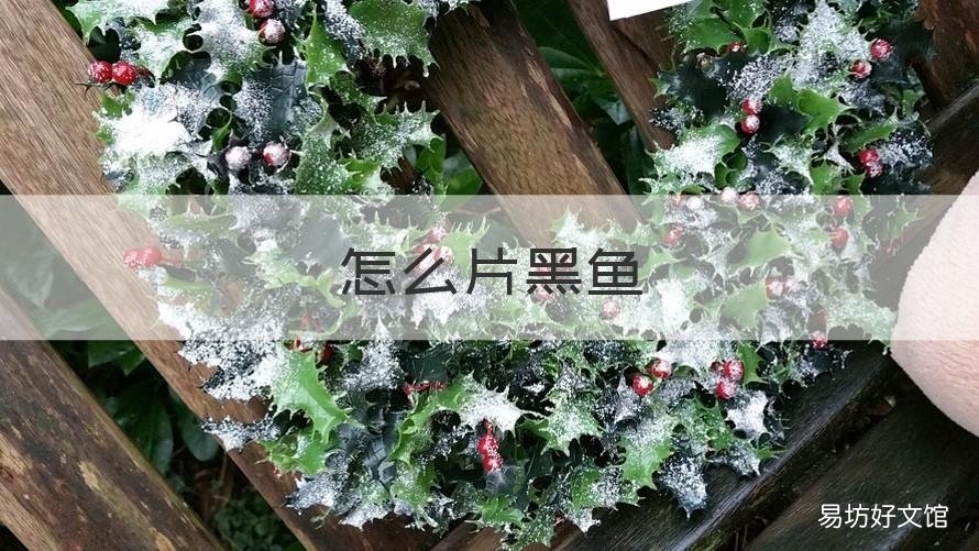 怎么片黑鱼 怎么片黑鱼片