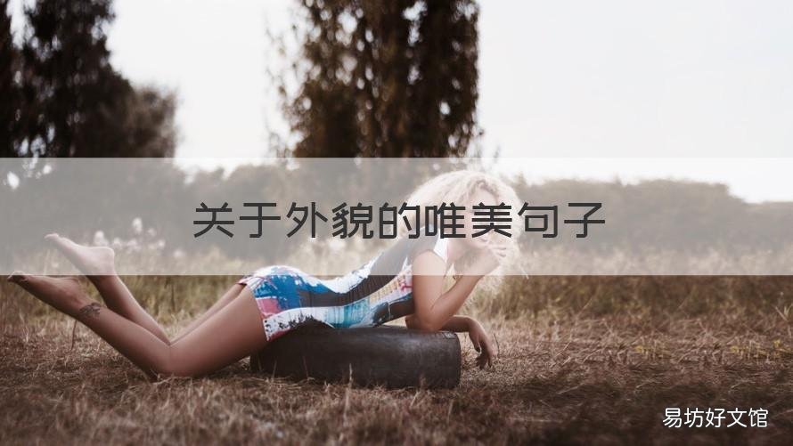 关于外貌的唯美句子 有关外貌的优美句子