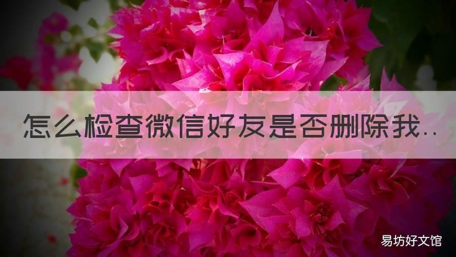 怎么检查微信好友是否删除我 怎么检查微信好友是否删除我但是有不被发现