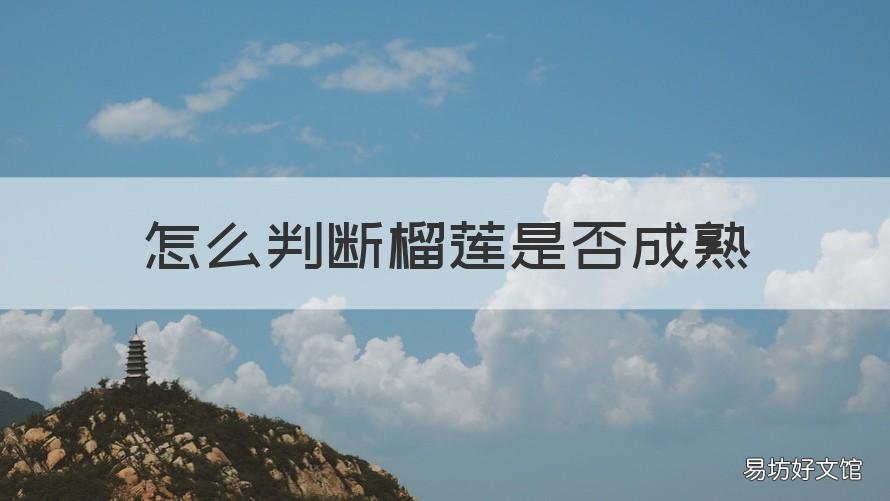 怎么判断榴莲是否成熟 怎么样判断榴莲是否成熟