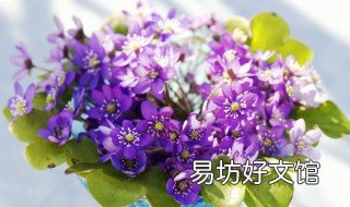 家里花瓶碎了有什么预兆 花瓶碎了是什么征兆