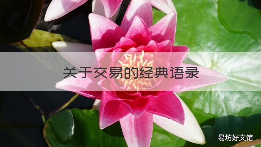 关于交易的经典语录 交易员名言名句