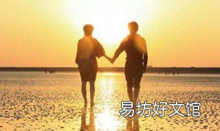 从此不再碰感情什么歌 从此不再碰感情是什么歌