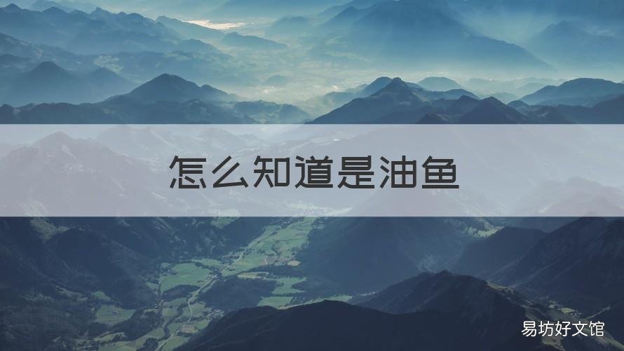 怎么知道是油鱼 什么是油鱼