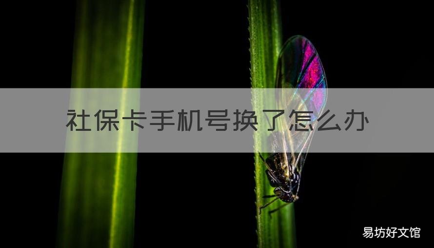 社保卡手机号换了怎么办 社保卡手机号换了怎么办不改可以么