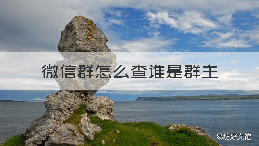 微信群怎么查谁是群主 怎么查微信群里谁是群主