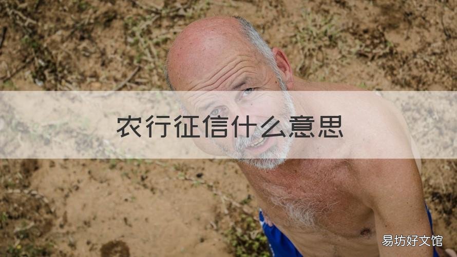 农行征信什么意思 农行征信贷