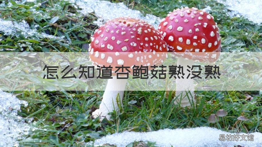 怎么知道杏鲍菇熟没熟 杏鲍菇怎么看熟不熟