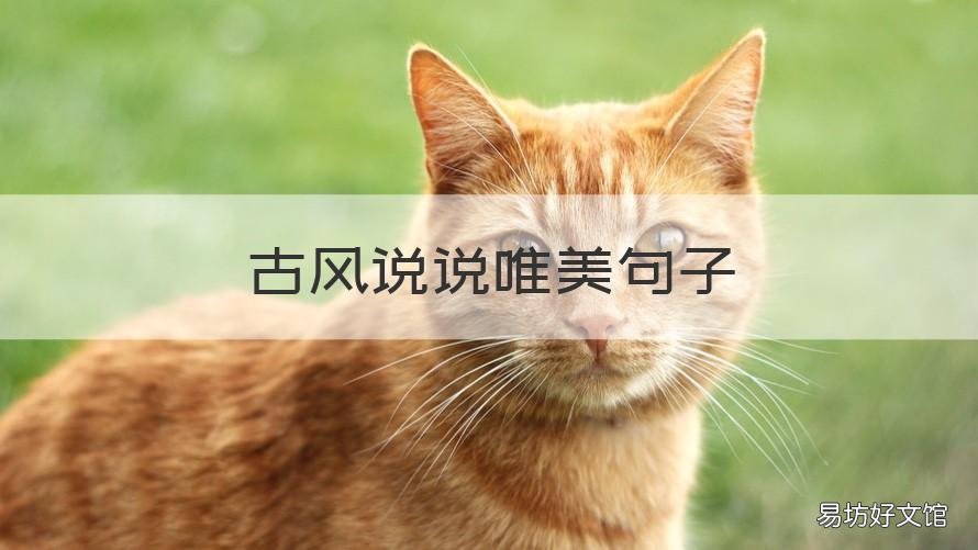 古风说说唯美句子 古风 唯美句子