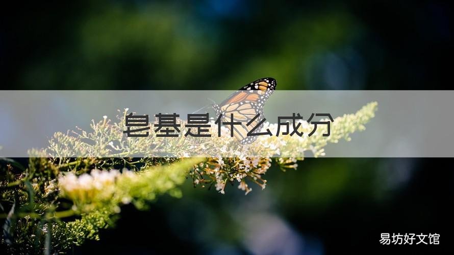 皂基是什么成分 天然皂基是什么成分