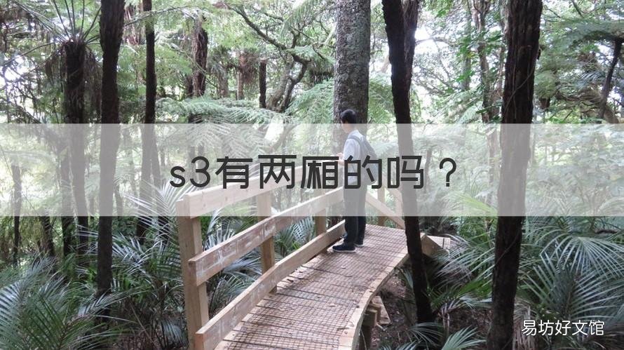 s3有两厢的吗 s3两厢什么时候上市