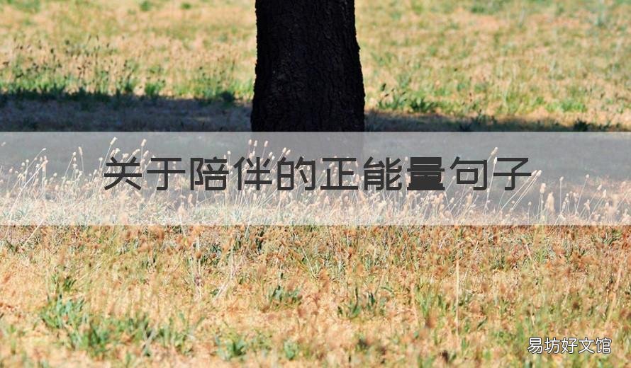 关于陪伴的正能量句子 有关陪伴的唯美句子 最暖心的陪伴