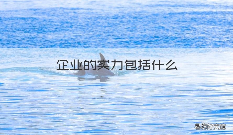 企业的实力包括什么 企业实力包括什么指标