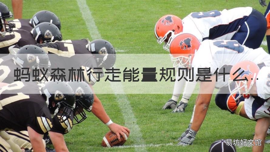 蚂蚁森林行走能量规则是什么 蚂蚁森林行走能量规则是什么样的