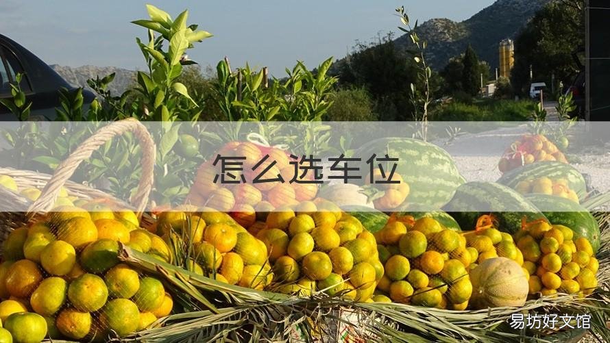 怎么选车位 怎么选车位 平面图