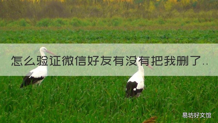 怎么验证微信好友有没有把我删了 如何验证微信好友