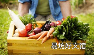 吃萝卜功效与副作用 吃萝卜功效与副作用是什么